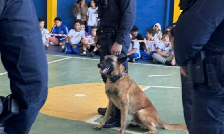 Alunos da Escola Simone assistem à apresentação dos cães da Guarda Municipal