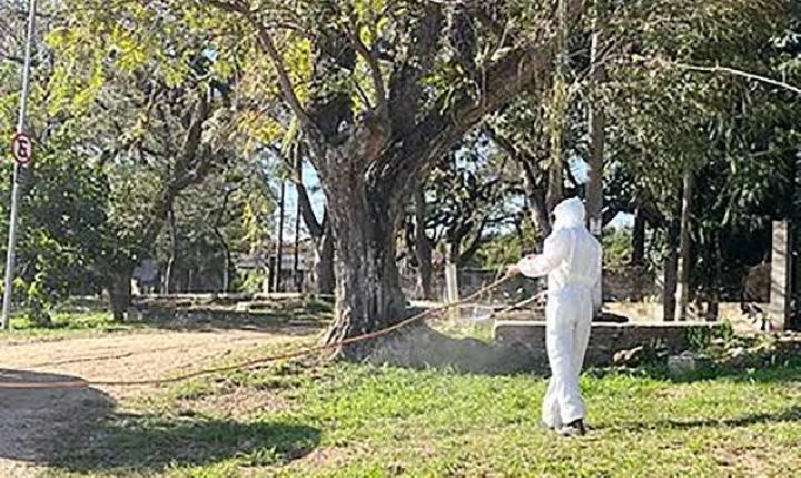 Americana aplica agente biológico contra carrapato-estrela na Praia Azul