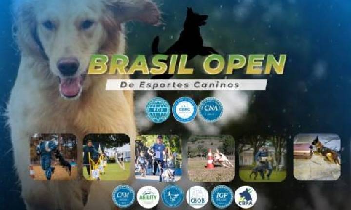 Brasil Open de Esportes Caninos reúne mais de 200 duplas em Paulínia
