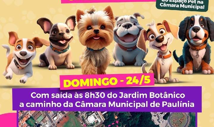 Câmara de Paulínia inaugura Espaço Pet neste domingo, com Cãominhada