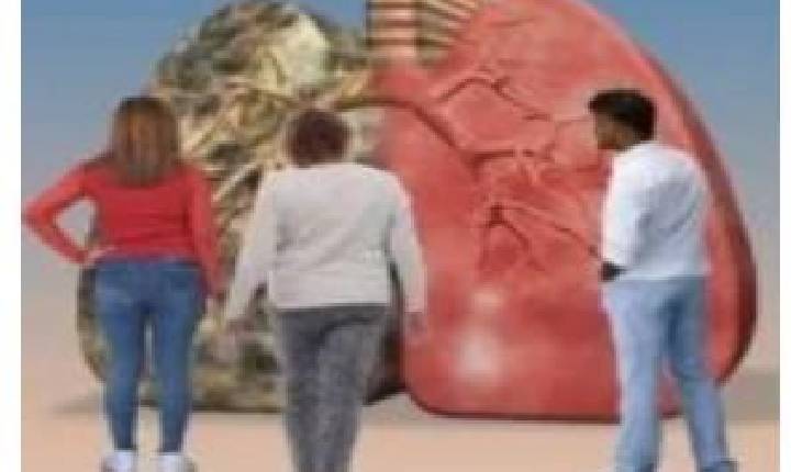 Campanha “Respirar, Educar e Viver” estará no 
