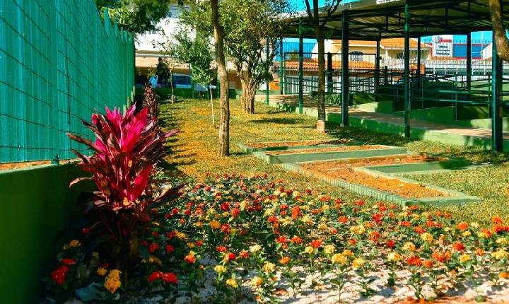 Galeria de Imagem