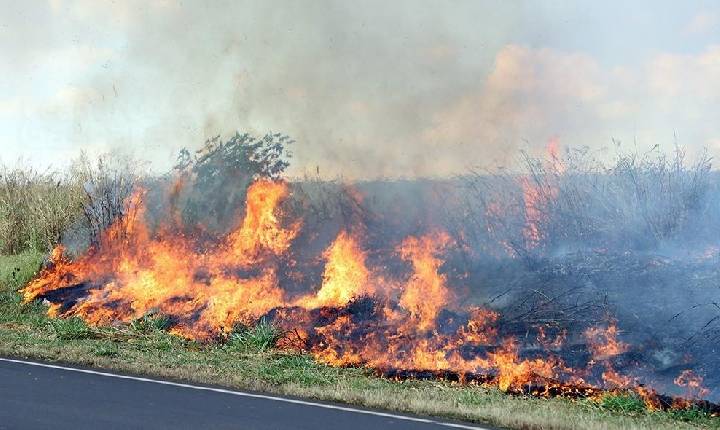 Defesa Civil alerta que ação humana é principal causa de incêndios na estiagem