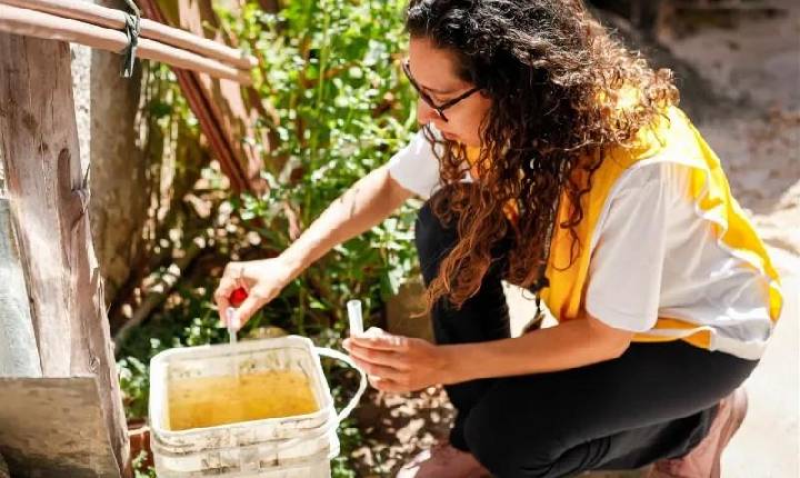 Dengue em Paulínia tem queda expressiva em 2026