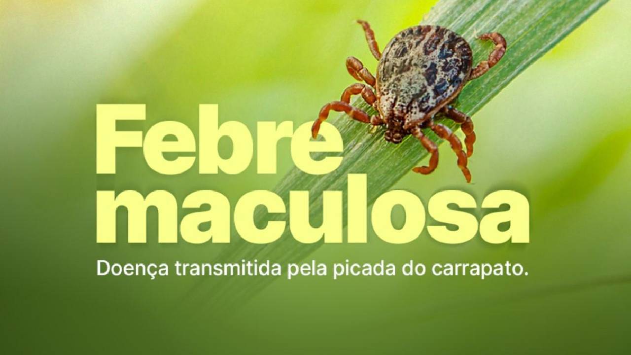 Febre maculosa: Americana confirma morte de homem de 37 anos pela doença