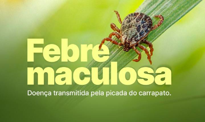 Febre maculosa: Americana confirma morte de homem de 37 anos pela doença
