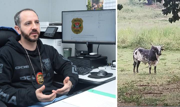 Grupo de elite da Polícia Civil combate lavagem de dinheiro do PCC