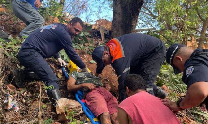 Homem fica gravemente ferido após cair de árvore ao colher abacates em Cosmópolis