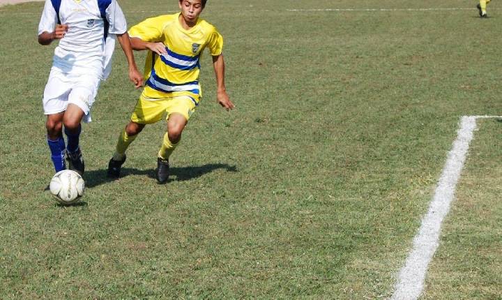 Galeria de Imagem