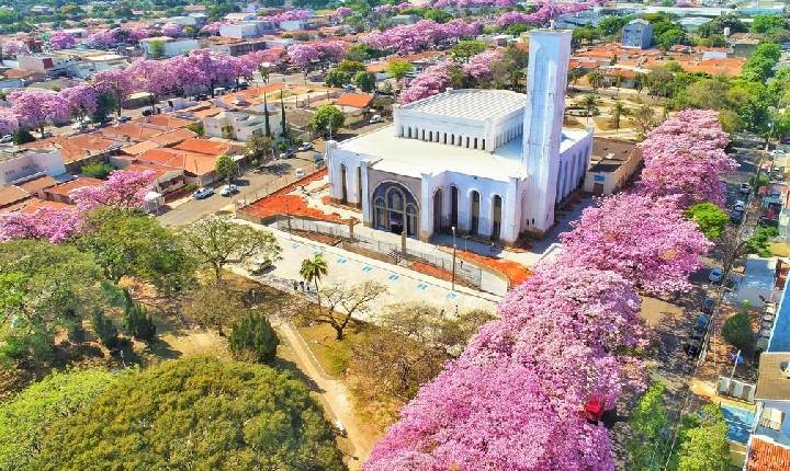 Paulínia ultrapassa R$ 558 milhões em repasses de ICMS e tributos nos primeiros meses de 2026