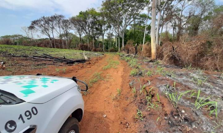 Polícia Ambiental aplica multas por danos ambientais em área de preservação em Cosmópolis