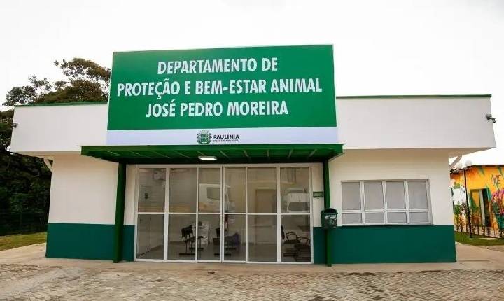 Prefeitura abre cadastramento de protetores independentes e ONGs da causa animal