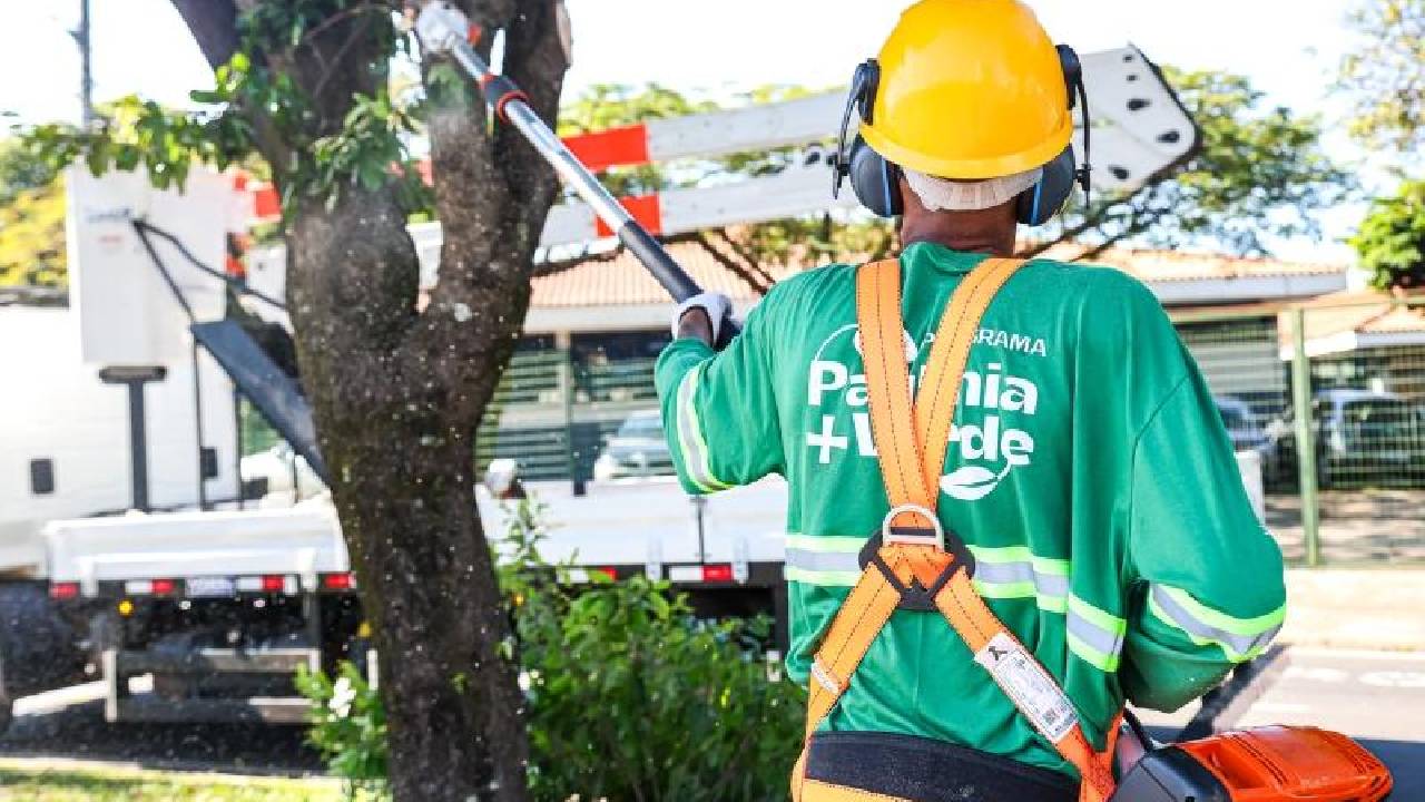 Programa Paulínia + Verde avança trabalhos pela cidade