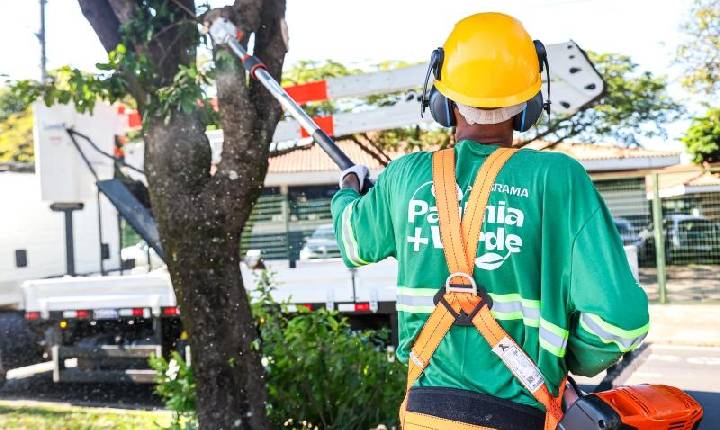 Programa Paulínia + Verde avança trabalhos pela cidade