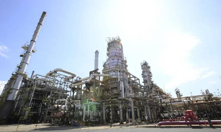 Replan tem recorde de produção no 1º semestre desde 2000
