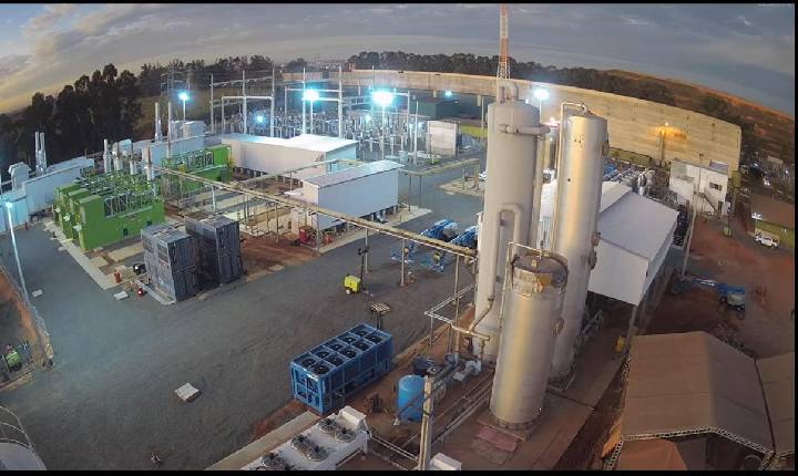 TBG e UTE Paulínia Verde unem forças para garantir o futuro da energia limpa
