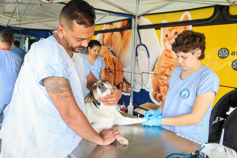 Programa Municipal de Castração chega a Betel