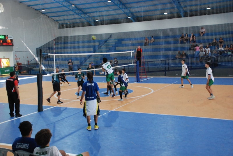 Vôlei Masculino: Treino Aberto Selecionará Atletas para Equipe de Paulínia