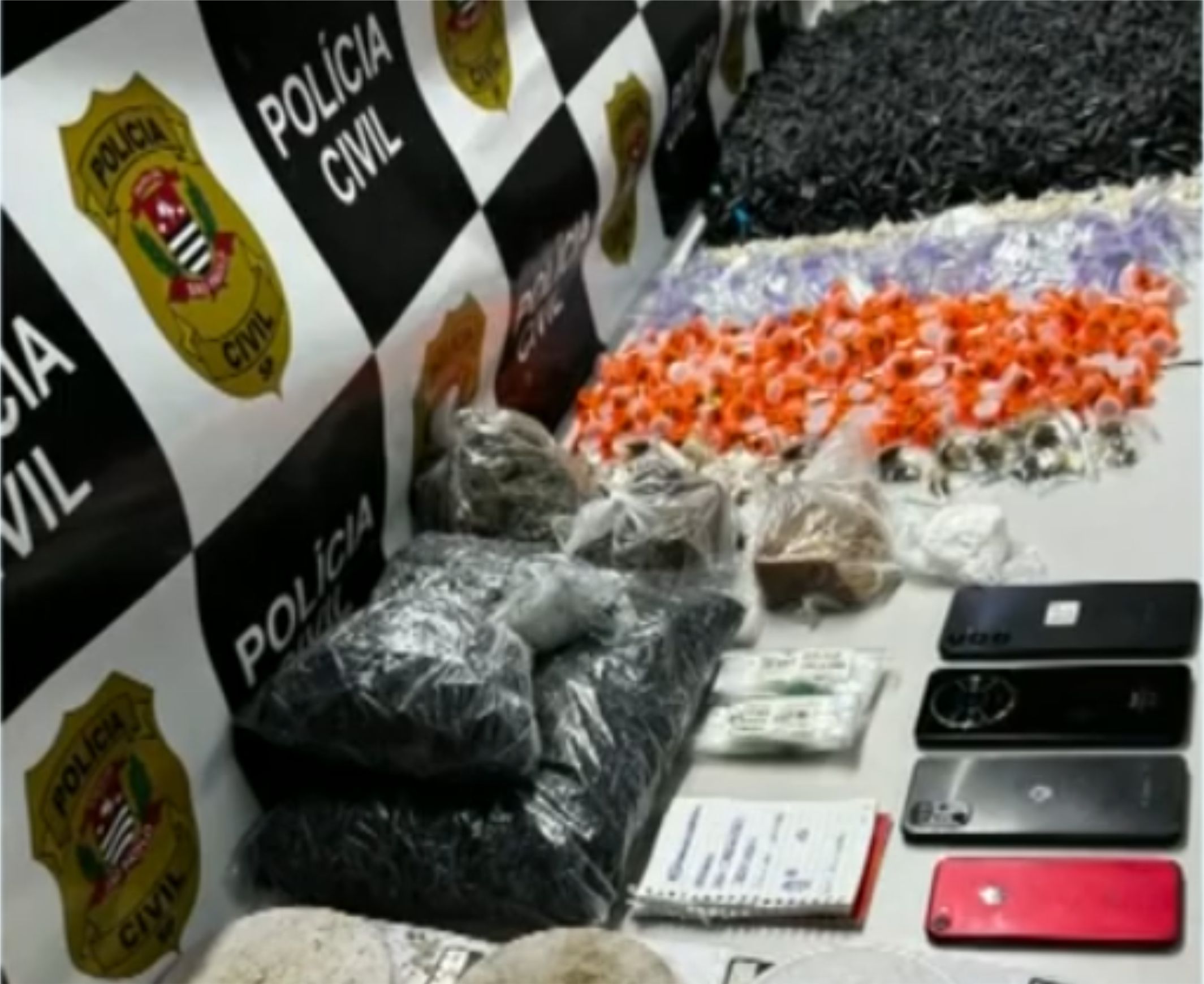 Polícia Civil desmonta central de drogas em Paulínia; uma pessoa foi presa