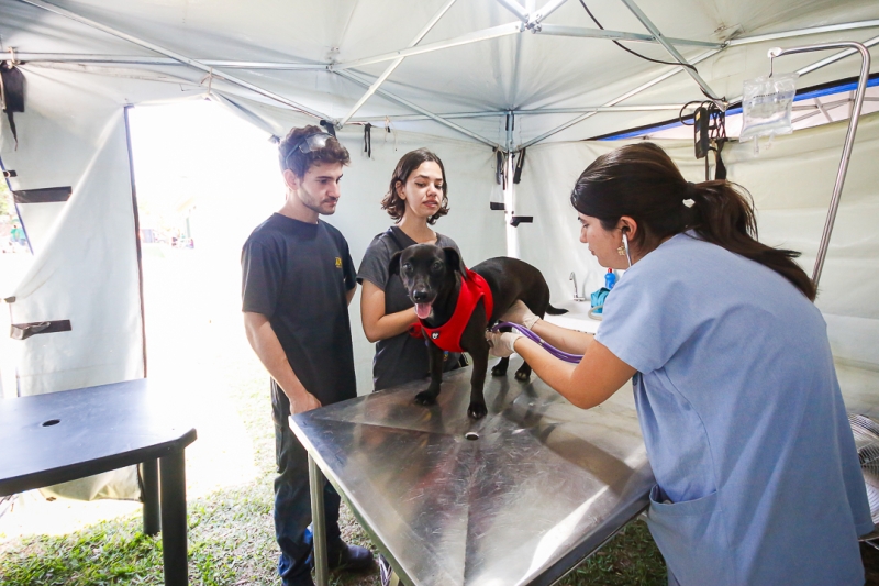 Prefeitura realizará Conferência do Bem-Estar Animal em abril