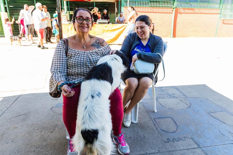 Programa Municipal de Castração 2025 acontece dia 6 de dezembro