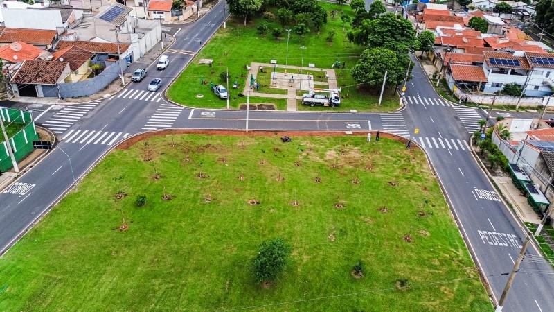 Prefeitura planta 62 mudas em celebração ao aniversário da cidade