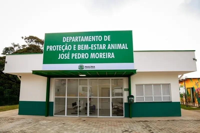 Prefeitura abre cadastramento de protetores independentes e ONGs da causa animal