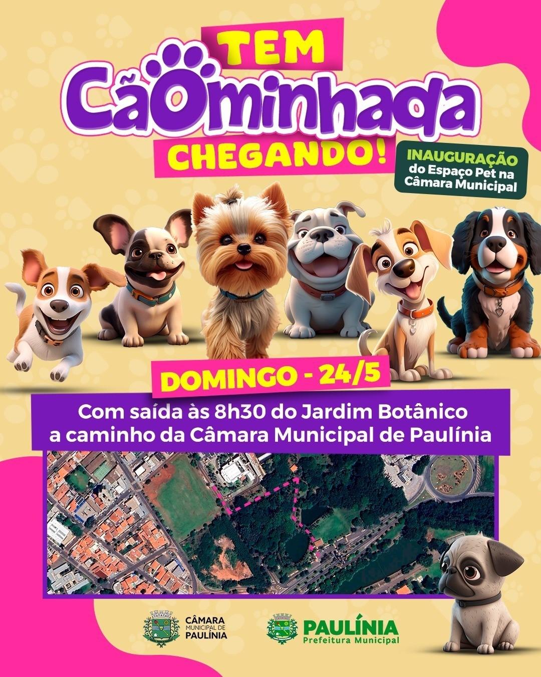 Câmara de Paulínia inaugura Espaço Pet neste domingo, com Cãominhada
