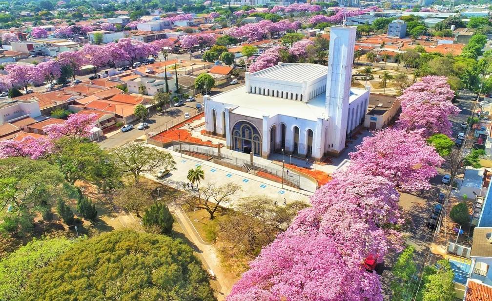 Paulínia ultrapassa R$ 558 milhões em repasses de ICMS e tributos nos primeiros meses de 2026