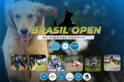 Brasil Open de Esportes Caninos reúne mais de 200 duplas em Paulínia