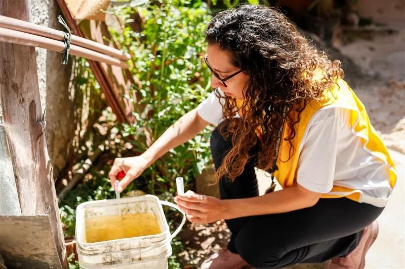 Dengue em Paulínia tem queda expressiva em 2026
