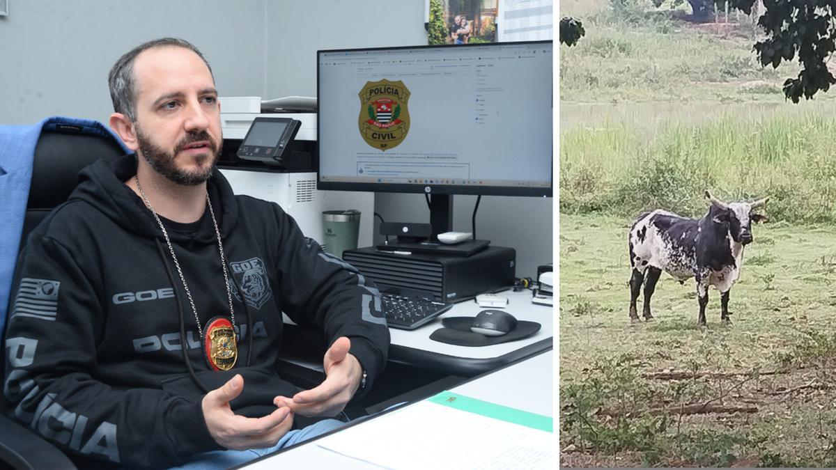 Grupo de elite da Polícia Civil combate lavagem de dinheiro do PCC