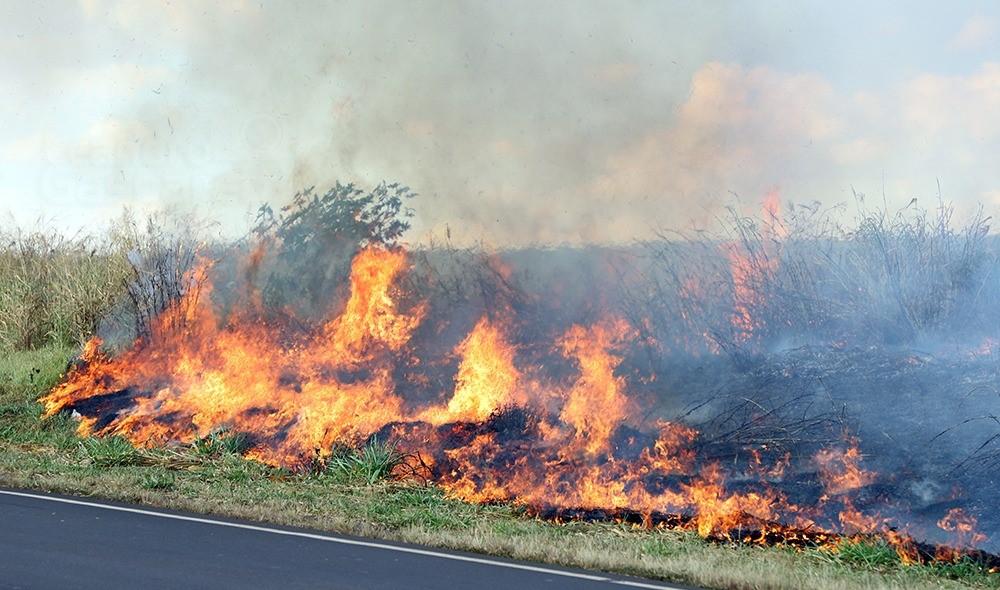 Defesa Civil alerta que ação humana é principal causa de incêndios na estiagem