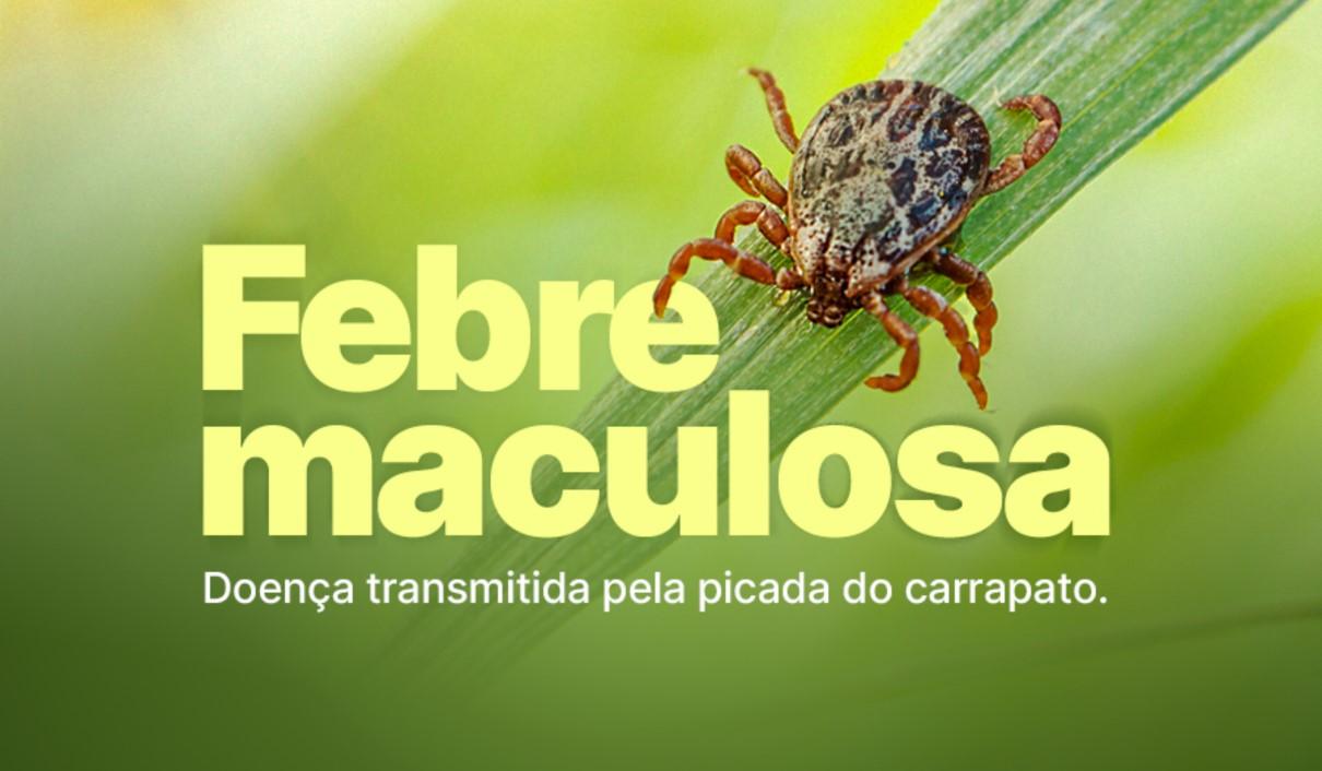 Febre maculosa: Americana confirma morte de homem de 37 anos pela doença