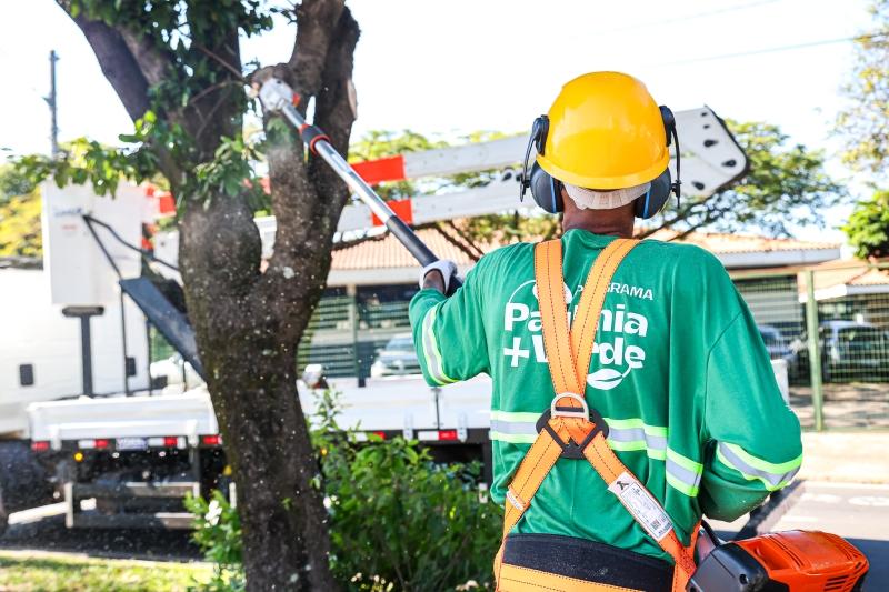 Programa Paulínia + Verde avança trabalhos pela cidade