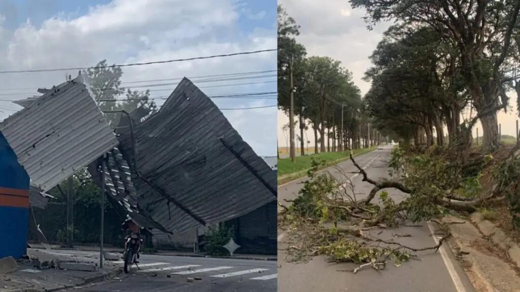 Ventania atinge Paulínia, causa estragos na região e derruba árvores