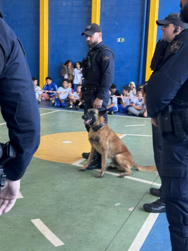 Alunos da Escola Simone assistem à apresentação dos cães da Guarda Municipal