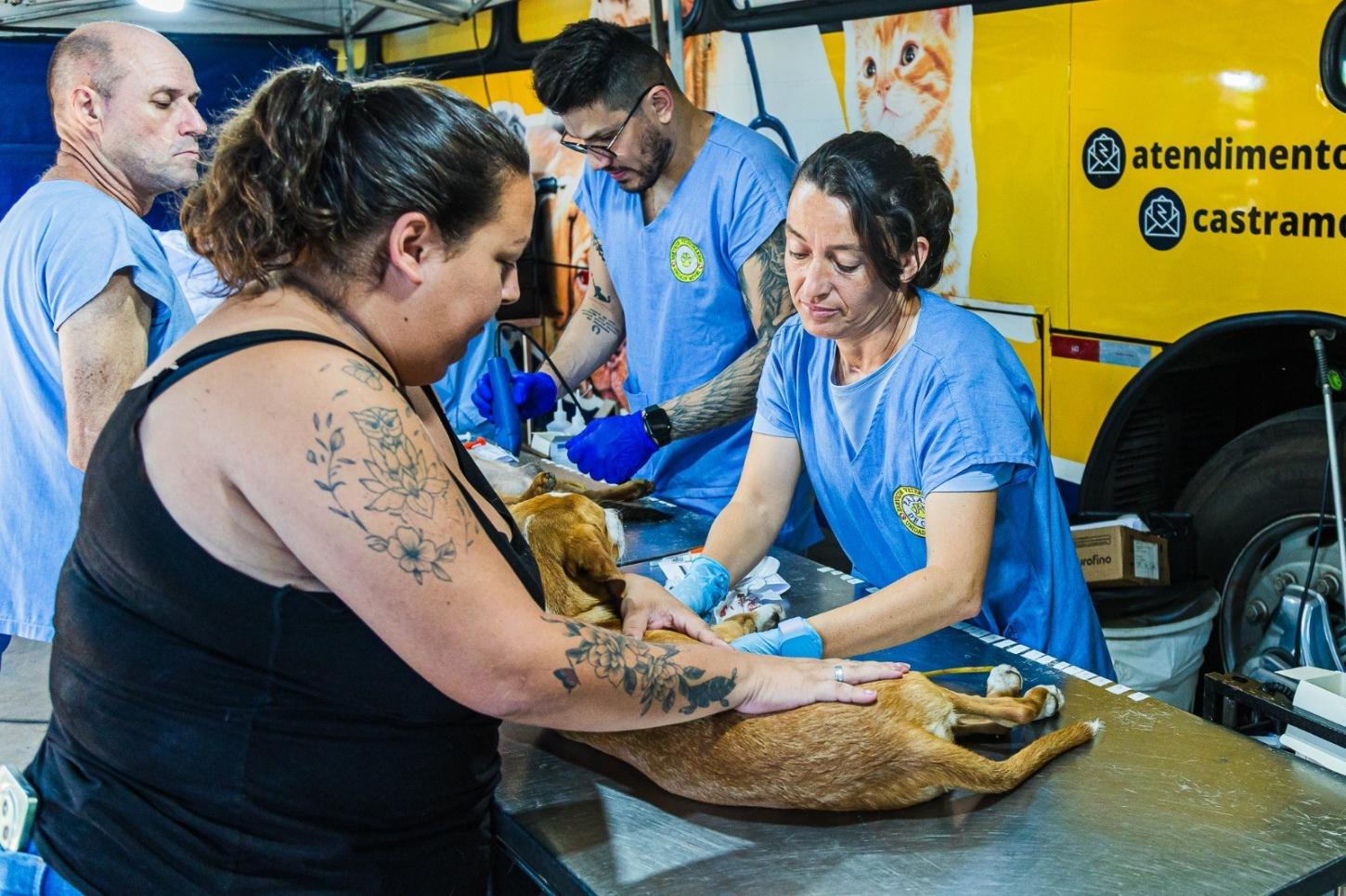 Programa de Castração abre 250 vagas para cães e gatos em Paulínia