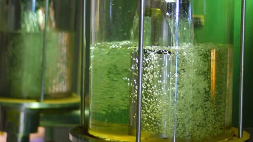 JetBio adapta usina em Paulínia para produzir diesel a partir de etanol