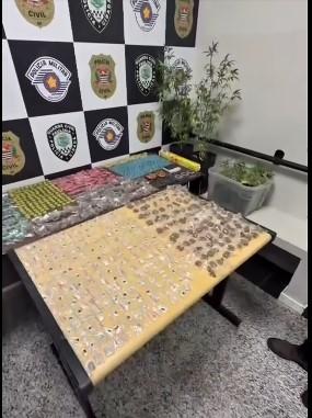 Polícia Civil  e GCM prendem traficante ‘GB’ e fecham ‘casa-bomba’ com plantação de maconha