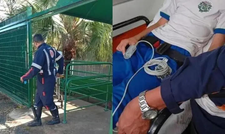 Aluno autista desmaia ao ser agredido por colega em sala de aula em Paulínia