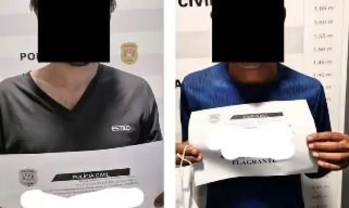 GCM apreende cerca de 700 porções de drogas em área de mata no Vida Nova em Paulínia