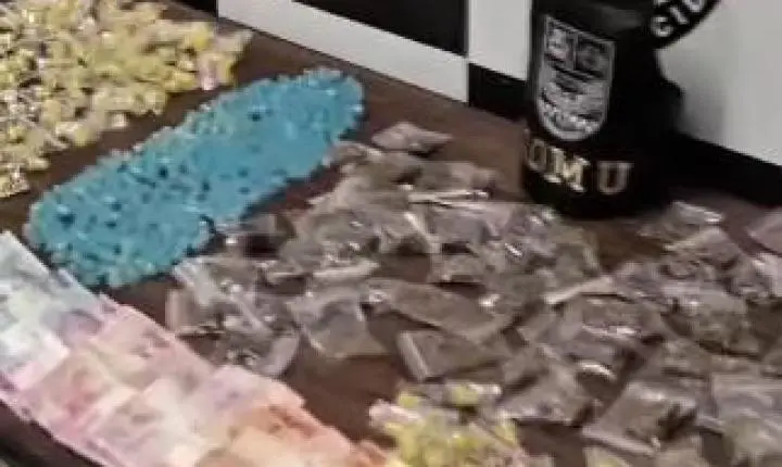  GCM apreende cerca de 700 porções de drogas em área de mata no Vida Nova em Paulínia