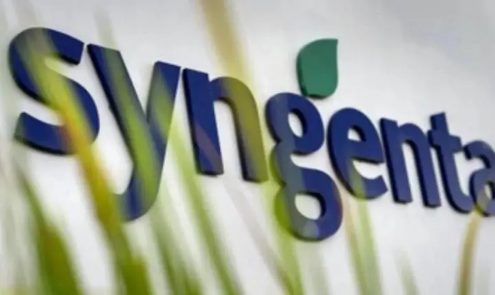 Syngenta abre vaga de Jovem Aprendiz em Paulínia com bolsa de R$ 1,5 mil